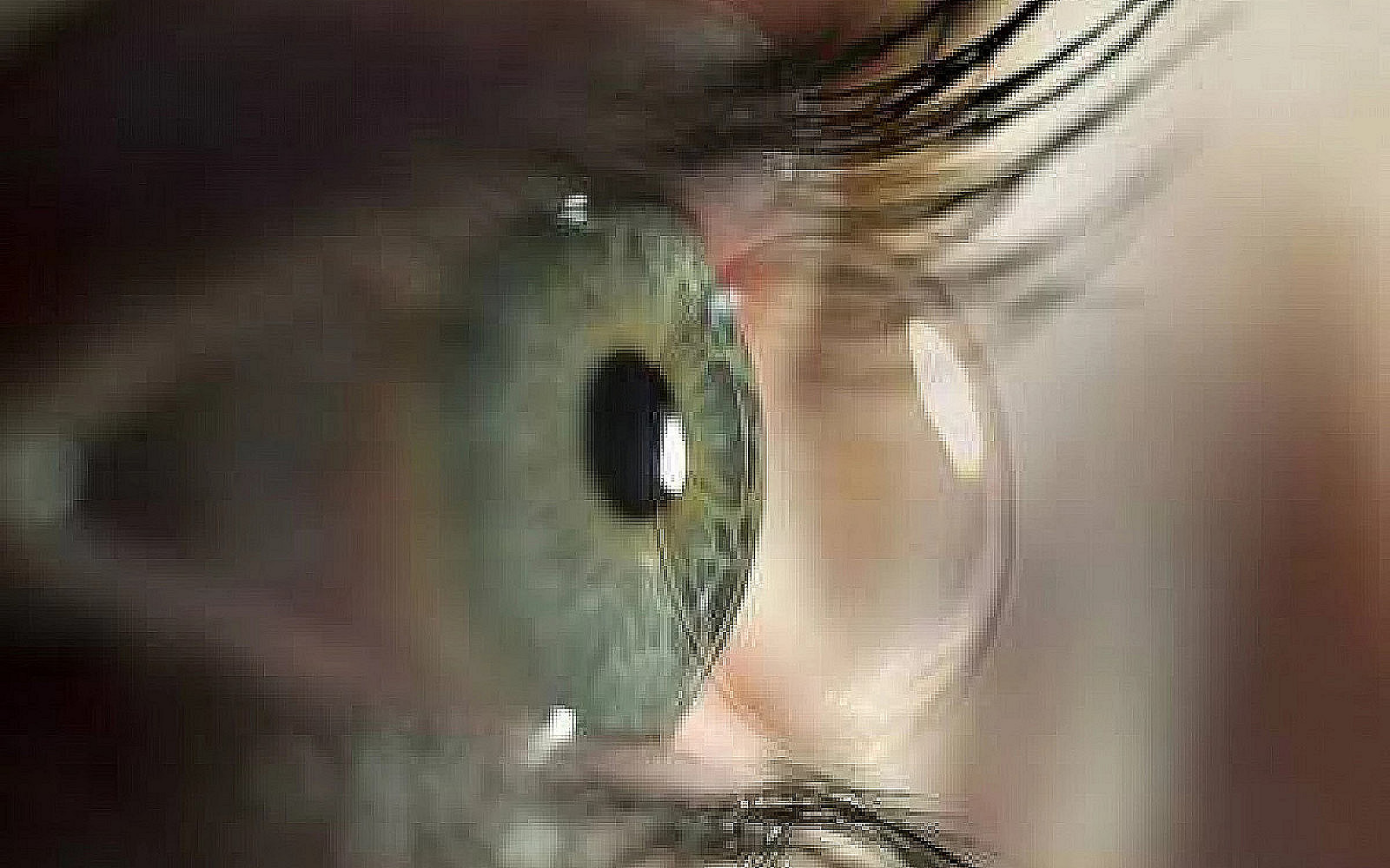 Contrôle régulier pour les lentilles